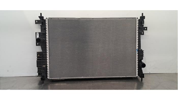Używane Chlodnica DS Automobiles DS9 1.6 16V PureTech 225 Cena € 163,35 Z VAT oferowane przez Autohandel Didier