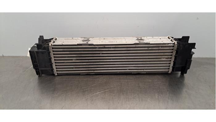 Usados Intercooler BMW 3 serie Touring (G21) 318i 2.0 TwinPower Turbo 16V Precio € 163,35 IVA incluido ofrecido por Autohandel Didier