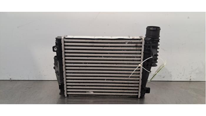 Used Intercooler Peugeot Expert (V1/VA/VB/VE/VF/VT/VY) 2.0 Blue HDi 145 16V Price € 133,10 Inclusive VAT offered by Autohandel Didier