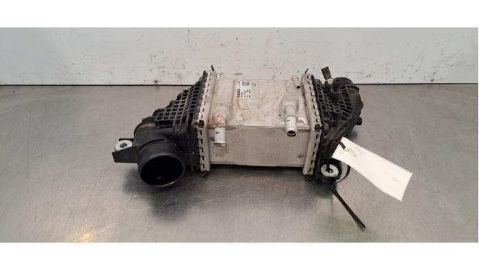 Usados Intercooler Volkswagen Transporter T6 2.0 TDI 150 Precio € 266,20 IVA incluido ofrecido por Autohandel Didier