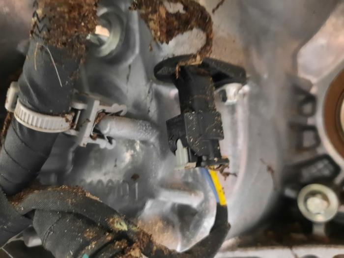 Boite de vitesses d'un Peugeot 2008 (UD/UK/UR/US/UX) 1.2 Hybrid 136 2025