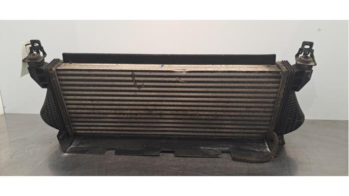 Usados Intercooler Ford Ranger 2.0 EcoBlue 16V 4x4 Precio € 199,65 IVA incluido ofrecido por Autohandel Didier