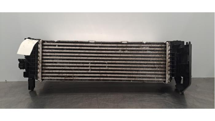 Usados Intercooler BMW X5 (G05) xDrive 30d 3.0 24V Precio € 199,65 IVA incluido ofrecido por Autohandel Didier