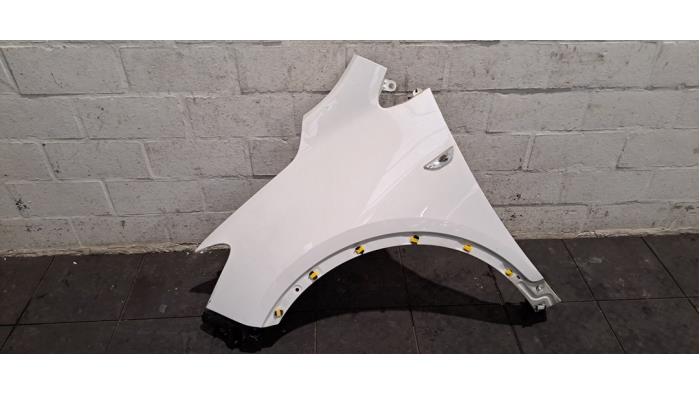 Original VW Fox Kotflügel Vorne Links Fahrerseite 5Z0821155 In