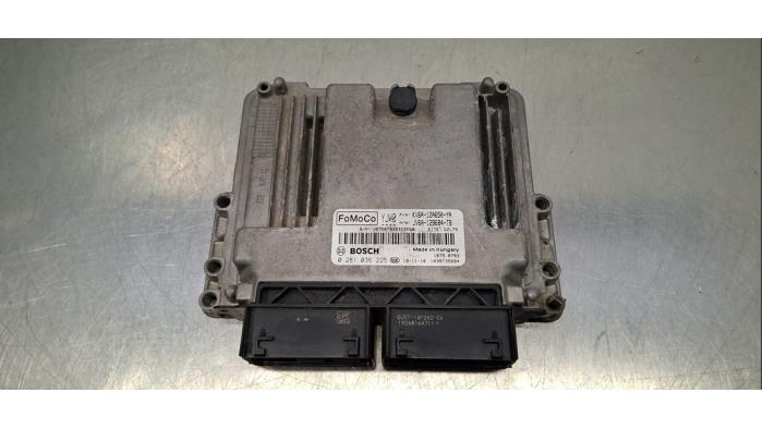 Used Engine management computer Ford Transit Connect (PJ2) 1.5 EcoBlue Price € 199,65 Inclusive VAT offered by Autohandel Didier