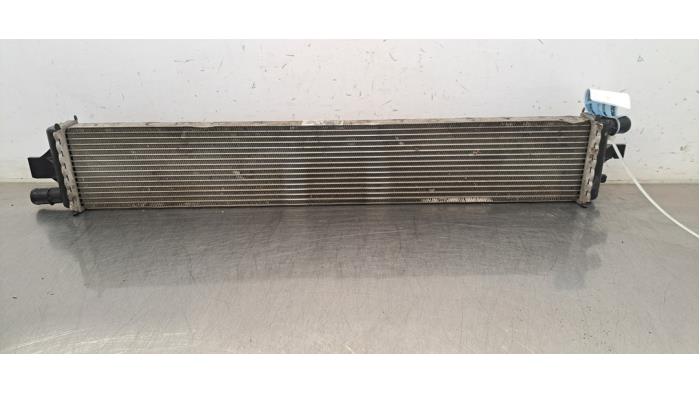 Usados Intercooler Renault Master III (EV/HV/UV/VA/VB/VD/VF/VG/VJ) 2.3 dCi 165 16V FWD Precio € 60,50 IVA incluido ofrecido por Autohandel Didier