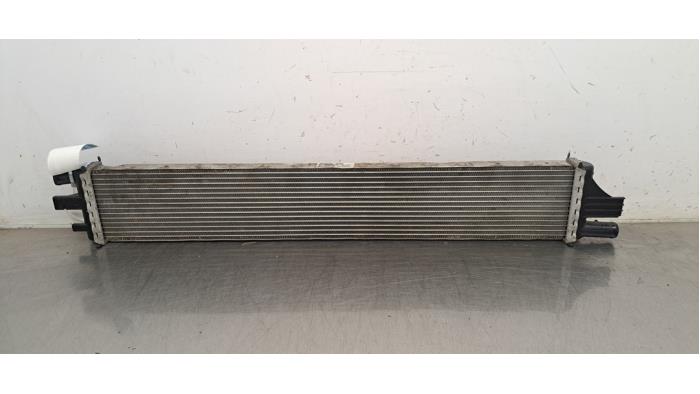 Intercooler d'un Renault Master III (EV/HV/UV/VA/VB/VD/VF/VG/VJ) 2.3 dCi 165 16V FWD 2020