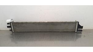 Intercooler d'un Renault Master III (EV/HV/UV/VA/VB/VD/VF/VG/VJ) 2.3 dCi 165 16V FWD 2020