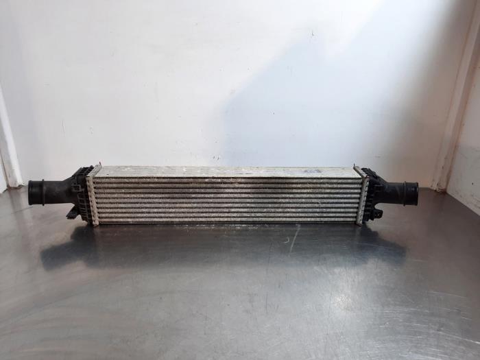 Used Intercooler Audi A5 (8T3) 3.0 TDI V6 24V Quattro Price € 60,50 Inclusive VAT offered by Autohandel Didier