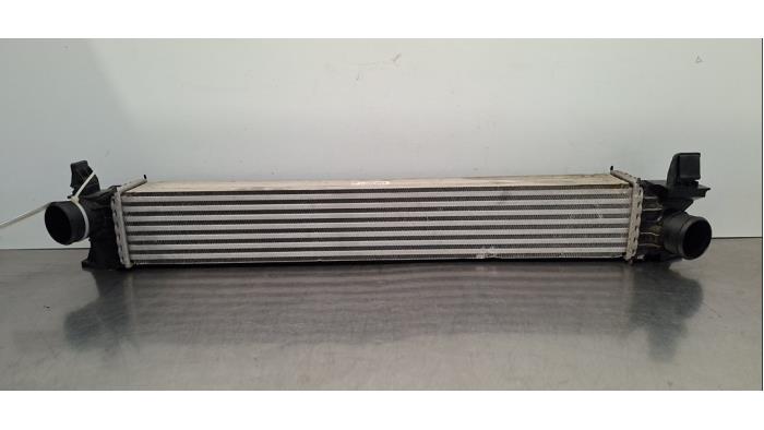 Usados Intercooler Opel Movano 2.2 D 165 Precio € 133,10 IVA incluido ofrecido por Autohandel Didier