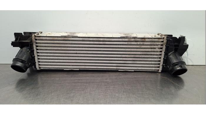 Usados Intercooler BMW 3 serie Touring (G21) 318i 2.0 TwinPower Turbo 16V Precio € 163,35 IVA incluido ofrecido por Autohandel Didier