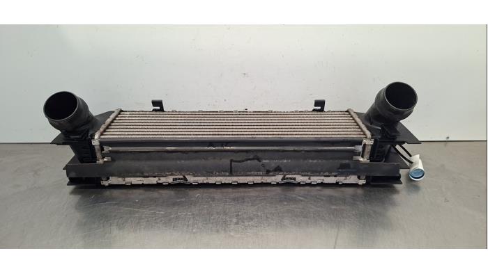 Usagé Intercooler BMW 1 serie (F20) 116i 1.5 12V Prix € 102,85 Prix TTC proposé par Autohandel Didier