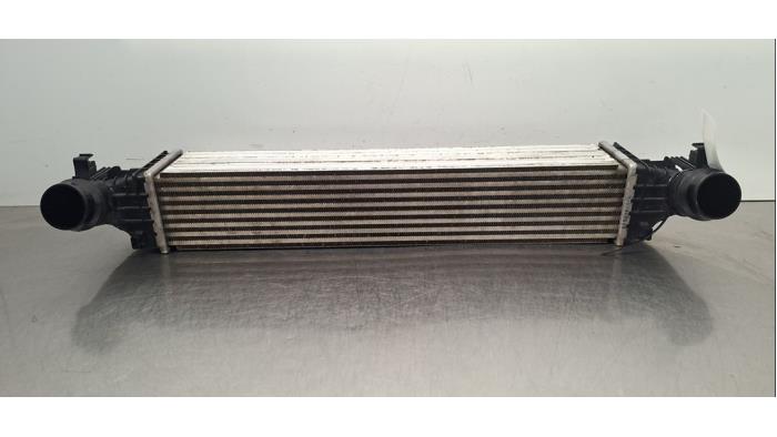 Usados Intercooler Opel Astra K Sports Tourer 1.6 CDTI 136 16V Precio € 96,80 IVA incluido ofrecido por Autohandel Didier