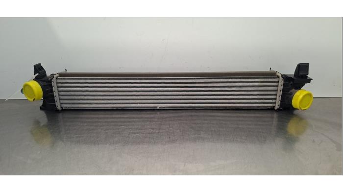 Usados Intercooler Fiat Ducato (250) E-Ducato Precio € 133,10 IVA incluido ofrecido por Autohandel Didier