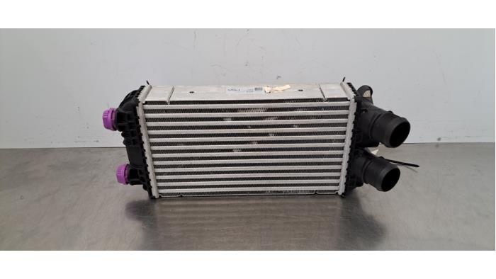 Usados Intercooler Opel Corsa F (UB/UH/UP) 1.2 Turbo 12V 100 Hybrid Precio € 133,10 IVA incluido ofrecido por Autohandel Didier