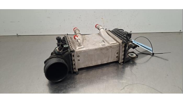 Usados Intercooler Volkswagen Transporter T6 2.0 TDI 150 4Motion Precio € 266,20 IVA incluido ofrecido por Autohandel Didier
