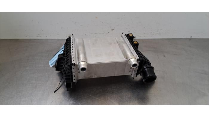 Usados Intercooler Alfa Romeo Tonale 1.5 VGT Hybrid Precio € 163,35 IVA incluido ofrecido por Autohandel Didier