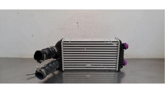 Usados Intercooler Opel Frontera (OV24) 1.2 Hybrid 100 Precio € 199,65 IVA incluido ofrecido por Autohandel Didier