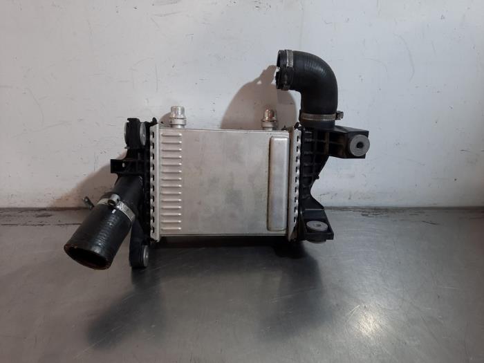 Usados Intercooler Fiat Tipo (356W/357W) 1.5 Turbo Hybrid 16V Precio € 163,35 IVA incluido ofrecido por Autohandel Didier