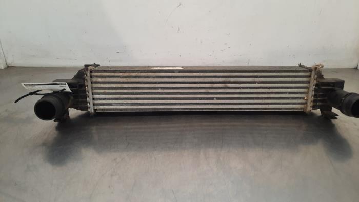 Usados Intercooler Jeep Compass II (MP) 1.4 Multi Air2 16V Precio € 133,10 IVA incluido ofrecido por Autohandel Didier