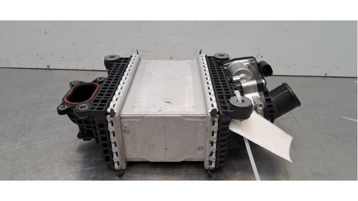 Usados Intercooler Ford Transit Custom 2.0 EcoBlue 136 Precio € 199,65 IVA incluido ofrecido por Autohandel Didier