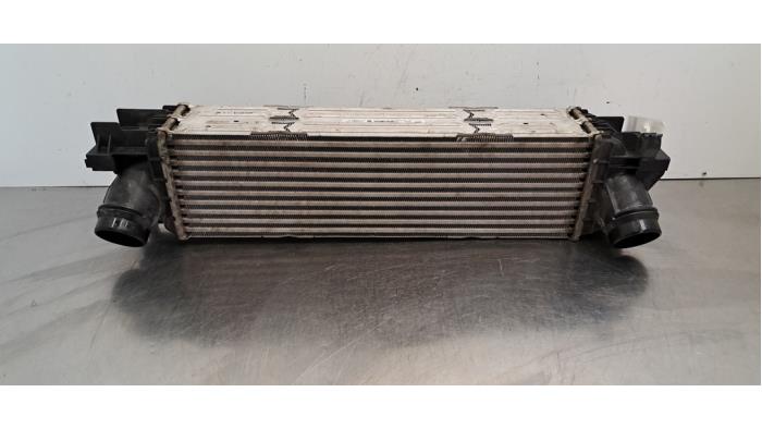 Usados Intercooler BMW 3 serie (G20) 330d 3.0 TwinPower Turbo 24V Precio € 133,10 IVA incluido ofrecido por Autohandel Didier