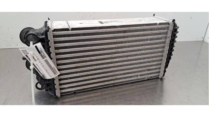 Usados Intercooler Alfa Romeo Junior 1.2 Hybrid Ibrida Precio € 199,65 IVA incluido ofrecido por Autohandel Didier