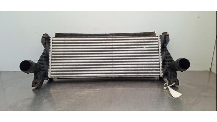 Usados Intercooler Ford Ranger 2.0 EcoBlue 16V 4x4 Precio € 199,65 IVA incluido ofrecido por Autohandel Didier