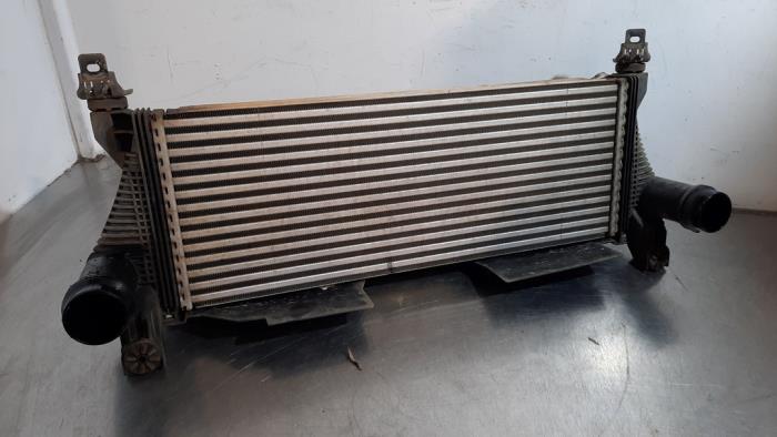 Usados Intercooler Ford Ranger 2.0 EcoBlue 16V 4x4 Precio € 163,35 IVA incluido ofrecido por Autohandel Didier