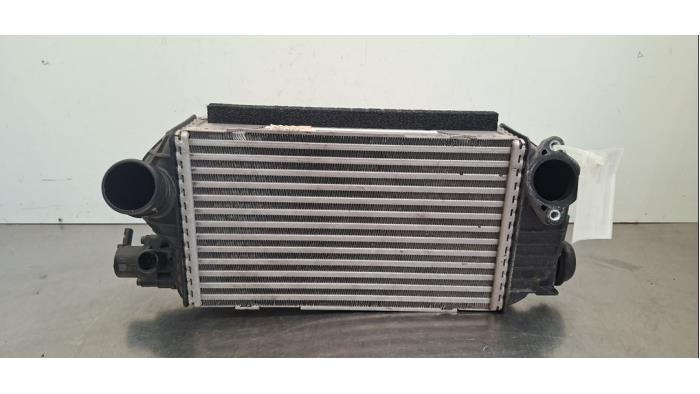 Usados Intercooler Hyundai Tucson (NX) 1.6 T-GDI Hybrid 48V Precio € 163,35 IVA incluido ofrecido por Autohandel Didier