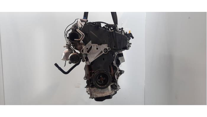 Używane Silnik Volkswagen Golf VIII (CD1) 2.0 TDI BlueMotion 16V Cena € 3.569,50 Z VAT oferowane przez Autohandel Didier
