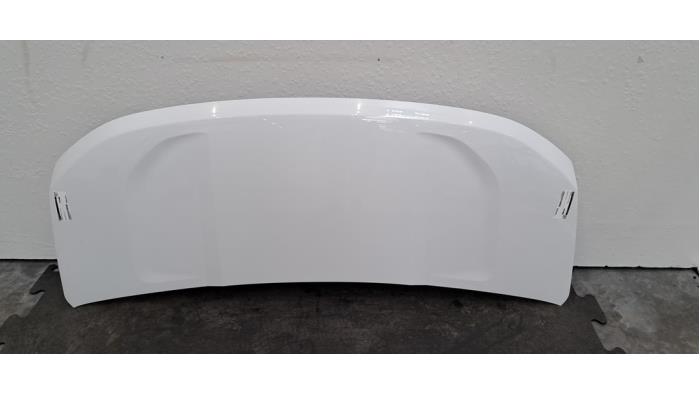 Używane Maska Nissan Interstar 2.0 DCI 150 Cena € 532,40 Z VAT oferowane przez Autohandel Didier