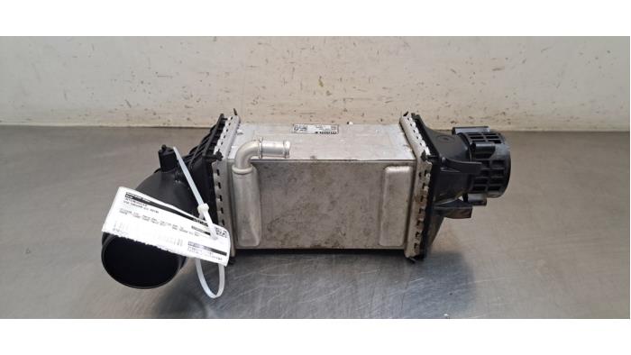 Usados Intercooler Volkswagen Tiguan (AD1) 1.5 TSI 16V Precio € 60,50 IVA incluido ofrecido por Autohandel Didier