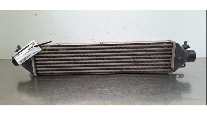 Usados Intercooler Fiat Doblo Cargo (263) 1.3 D Multijet Precio € 36,30 IVA incluido ofrecido por Autohandel Didier