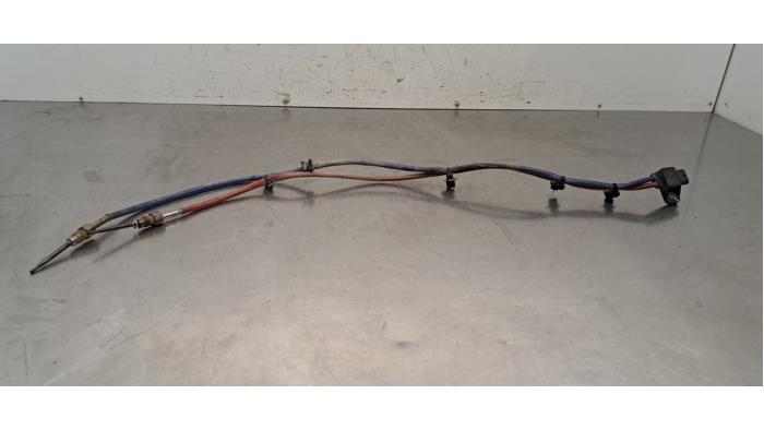 Gebrauchte Auspuff Temperatursensor Renault Trafic (1FL/2FL/3FL/4FL) 2.0 dCi 16V 130 Preis € 36,30 Mit Mehrwertsteuer angeboten von Autohandel Didier