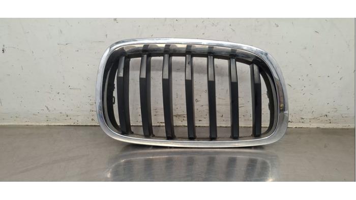 Używane Grill BMW X6 (E71/72) xDrive30d 3.0 24V Cena € 30,25 Z VAT oferowane przez Autohandel Didier