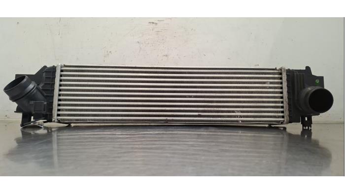 Usados Intercooler Mini Mini (F55) 1.5 12V Cooper D Precio € 121,00 IVA incluido ofrecido por Autohandel Didier