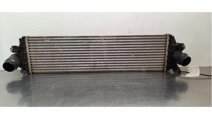 Usados Intercooler Ford Focus 4 1.0 Ti-VCT EcoBoost 12V 125 Precio € 90,75 IVA incluido ofrecido por Autohandel Didier