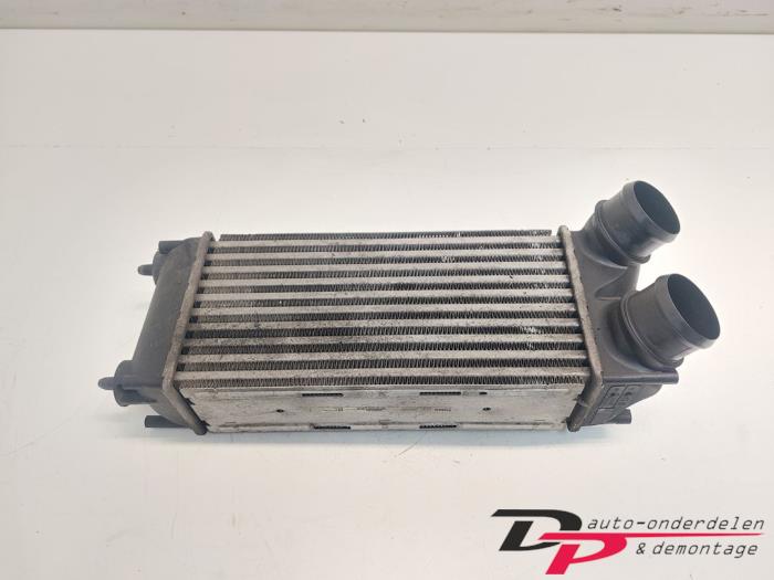 Usados Intercooler Peugeot 308 SW (4E/H) 1.6 16V THP 150 Precio € 12,75 Norma de margen ofrecido por DP Auto-onderdelen & Demontage