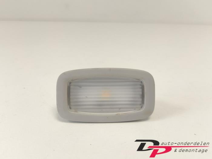 Door interior light