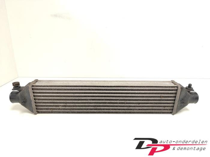Used Intercooler Fiat Bravo (198A) 1.4 T-Jet 16V 120 Price € 19,00 Margin scheme offered by DP Auto-onderdelen & Demontage