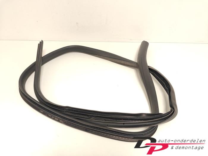 Ford Focus Rear door seals 4-door, right stock | ProxyParts.com