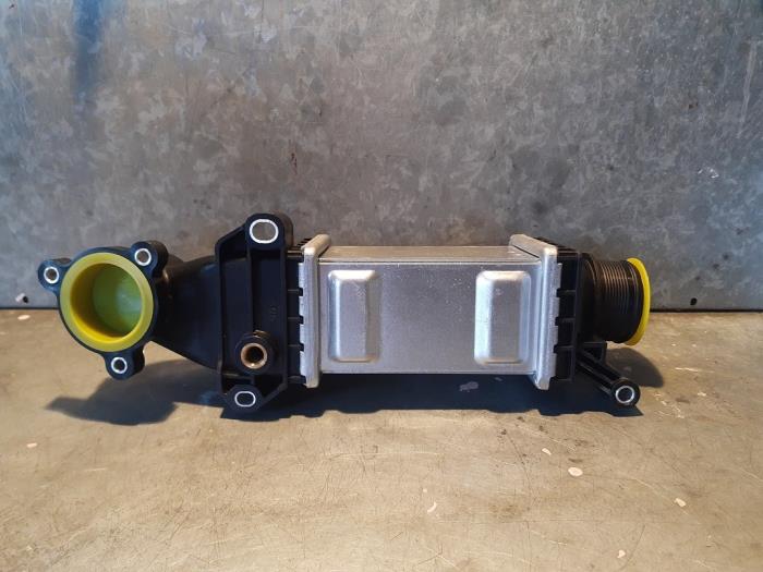 Intercooler d'un Volkswagen Polo V (6R) 1.4 TDI 12V 90 2016