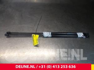 Used Set of tailgate gas struts Mercedes V (447.8) 2.1 250 BlueTEC, 250 d 16V Price on request offered by van Deijne Onderdelen Uden B.V.