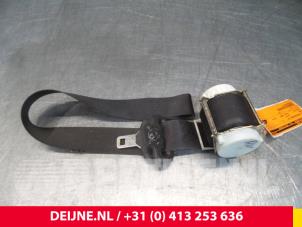 Used Front seatbelt, right Ford Focus Price € 10,00 Margin scheme offered by van Deijne Onderdelen Uden B.V.