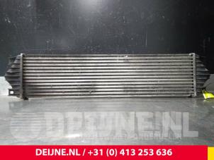 Gebrauchte Ladeluftkühler Renault Master III (ED/HD/UD) 2.5 dCi 16V 100 Preis € 24,20 Mit Mehrwertsteuer angeboten von van Deijne Onderdelen Uden B.V.