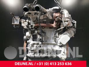 Used Engine Citroen Berlingo Price on request offered by van Deijne Onderdelen Uden B.V.