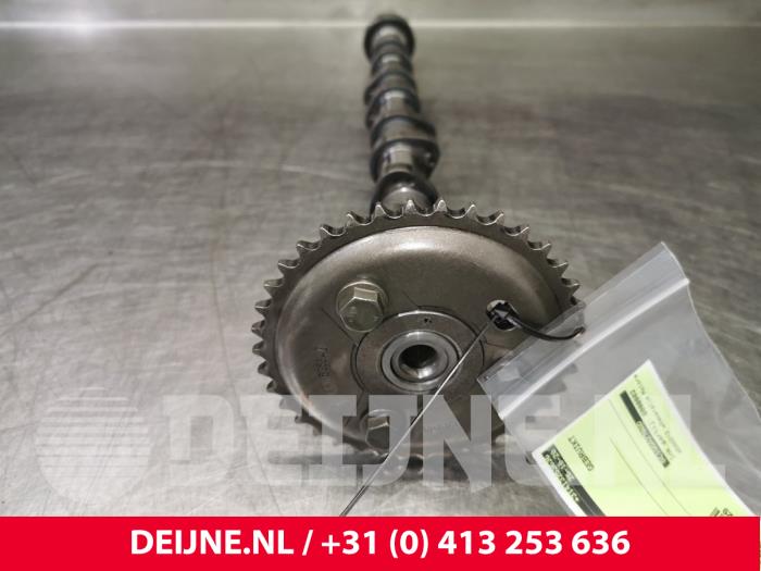Usagé Arbre à cames Ford Transit Prix € 48,40 Prix TTC proposé par van Deijne Onderdelen Uden B.V.