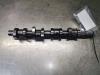 Camshaft from a Volkswagen Transporter T5, 2003 / 2015 1.9 TDi, Delivery, Diesel, 1.896cc, 77kW (105pk), FWD, AXB, 2003-04 / 2009-11, 7HA; 7HC; 7HH 2005
