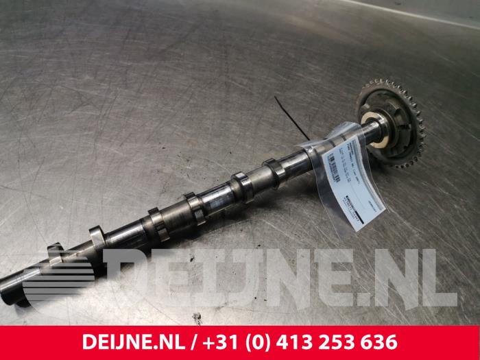 Gebrauchte Nockenwelle Ford Transit Preis € 60,50 Mit Mehrwertsteuer angeboten von van Deijne Onderdelen Uden B.V.